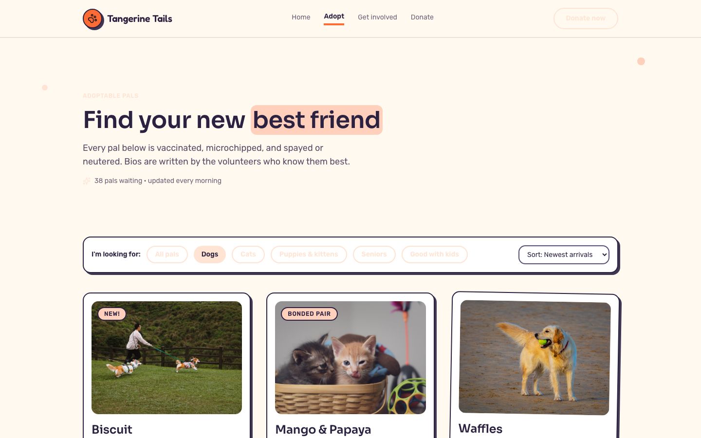 Animal Shelter Website Template — adopt page screenshot