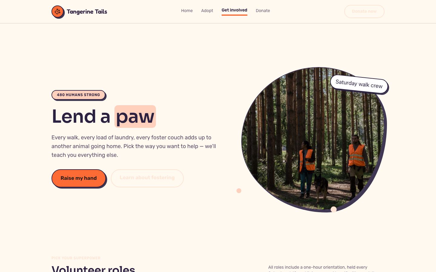 Animal Shelter Website Template — get involved page screenshot