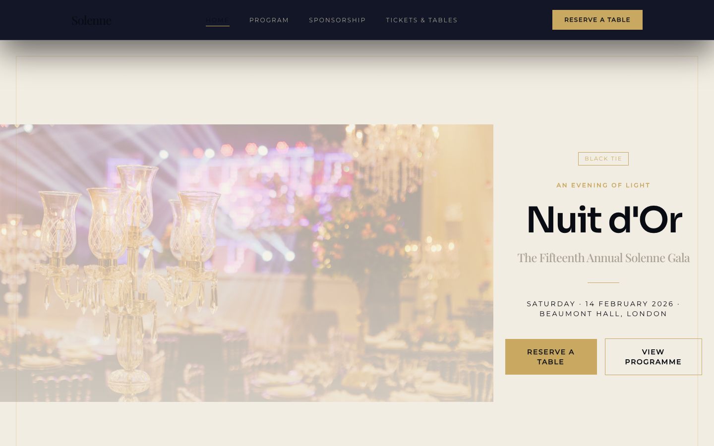 Charity Gala Website Template — home page screenshot