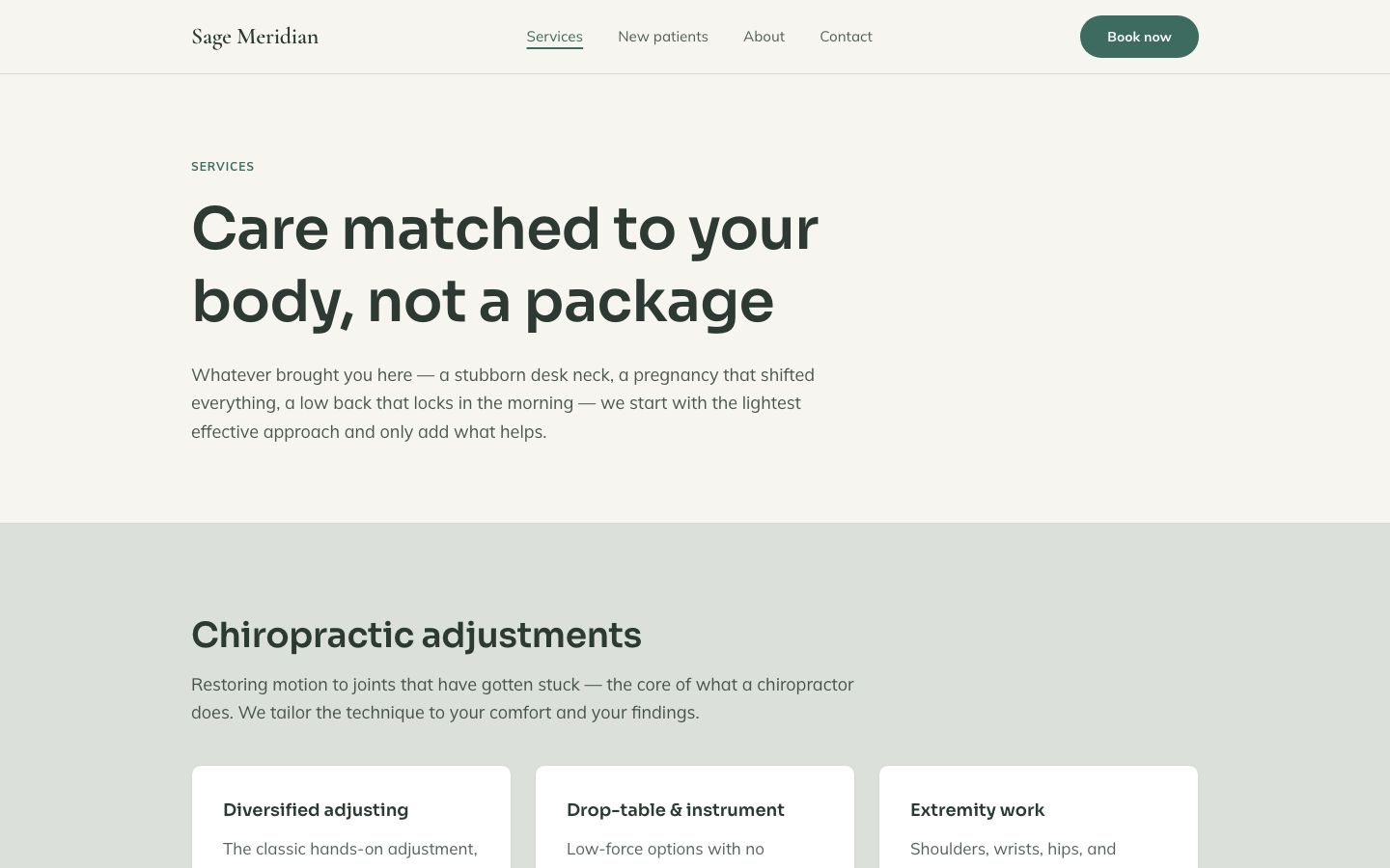 Chiropractor Website Template — services page screenshot