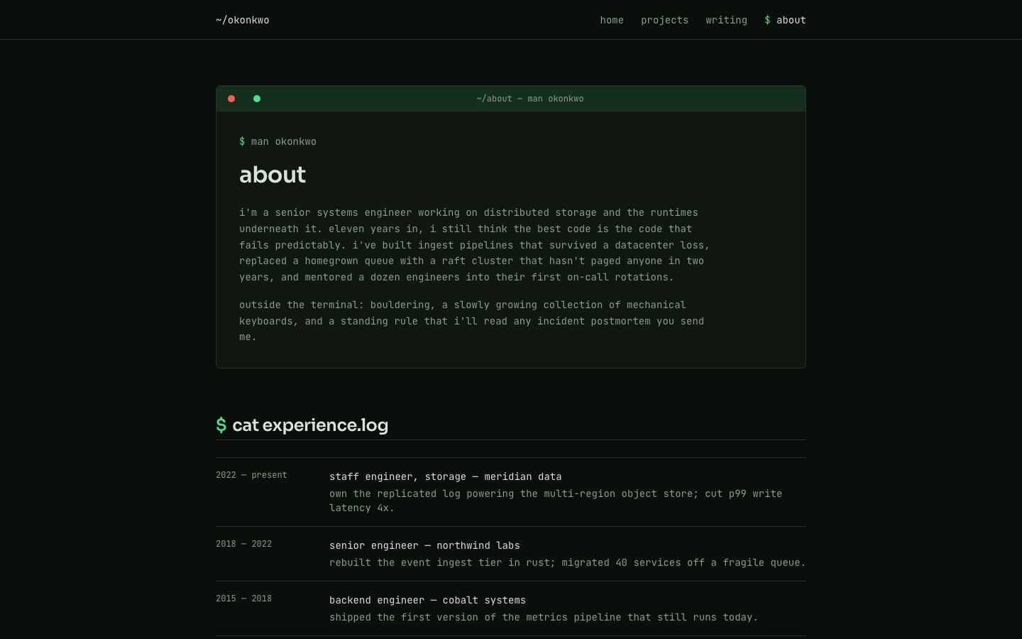 Developer Portfolio Template — about page screenshot