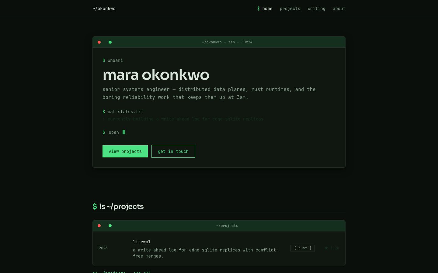 Developer Portfolio Template — home page screenshot