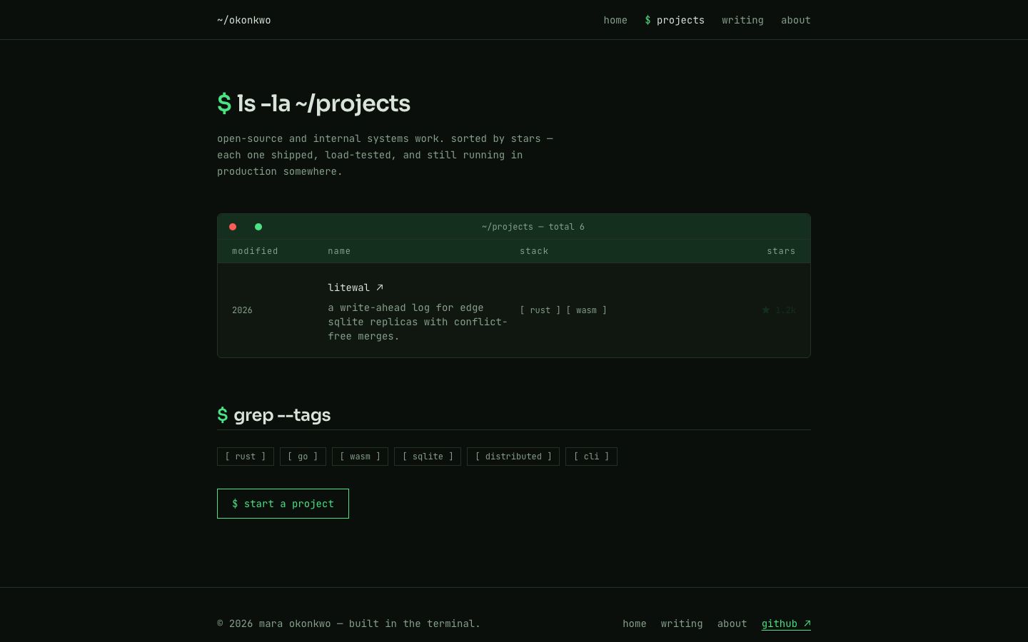 Developer Portfolio Template — projects page screenshot