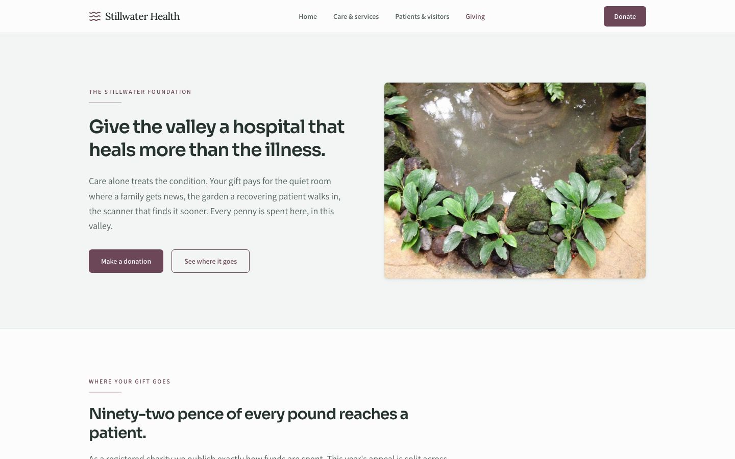 Hospital Website Template — giving page screenshot
